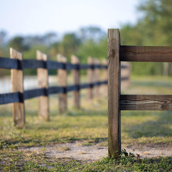 Farm-gate