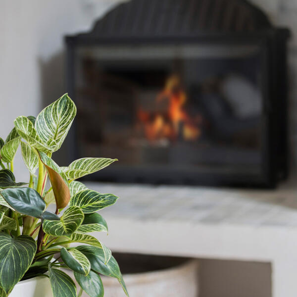 Fireplace renovation in Torquay