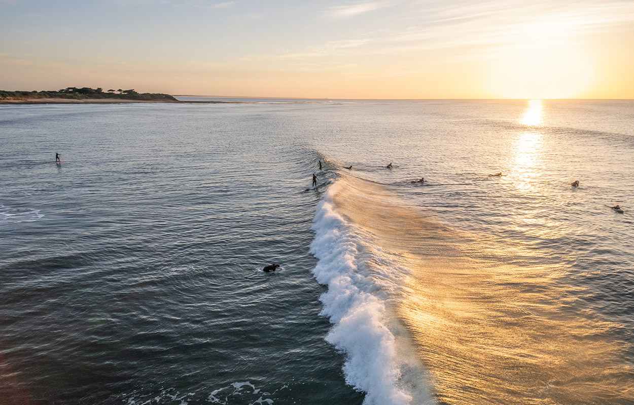 Torquay-surfers
